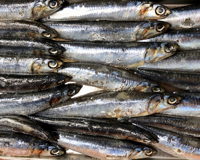 Ančovičky jsou ideálním zdrojem omega-3